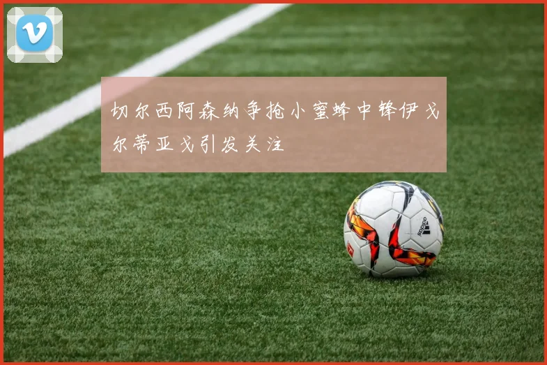 切尔西阿森纳争抢小蜜蜂中锋伊戈尔蒂亚戈引发关注
